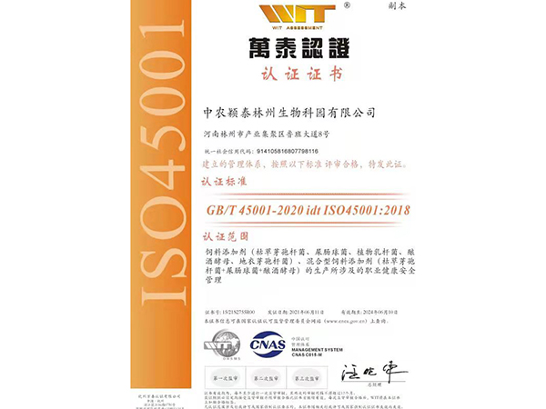 澳门新威斯人网站认证ISO45001